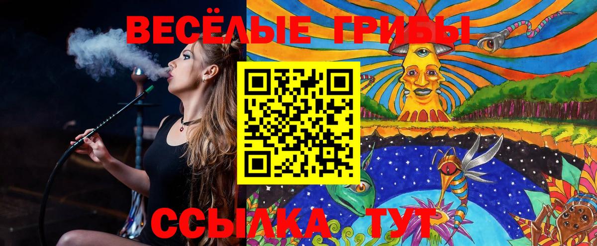 Благовещенск  Псилоцибиновые грибы ЛСД  Псилоцибиновые грибы Psilocybe  Вход с VPN 