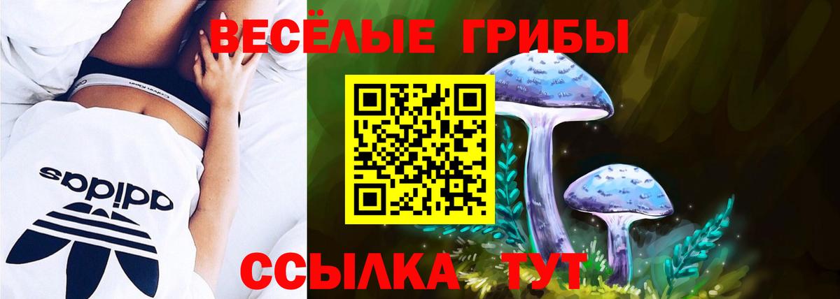 Псилоцибиновые грибы мухоморы Благовещенск